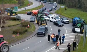 Ptoteste Irlanda Combustibil captrura irish Mirror png