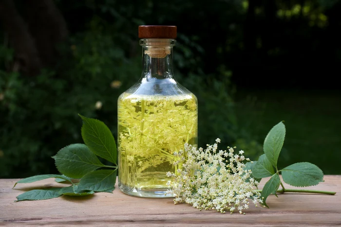 Socata, băutura sezonuluifoto: Shutterstock