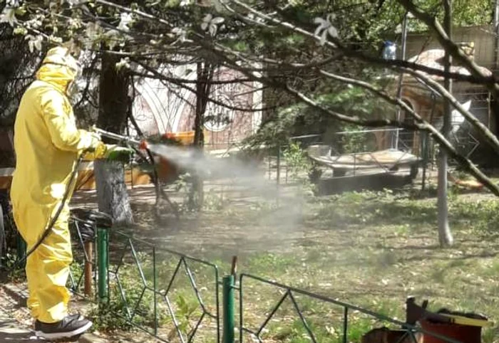 Dezinsecția a început pe spațiile verzi ale Bucureștiului