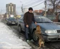 caine masina Alba Iulia