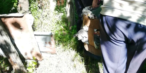 Imagini de la masiva alunecare de teren din Roşiile Vâlcea unde un deal a luat-o la vale - evacuarea Foto Adevărul