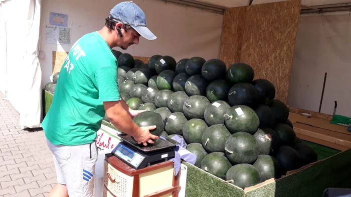 Pepenii românești sunt de culoare închisă 