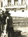 De la palat regal la palat al pionierilor (1949 1977)   o filă din istoria Palatului Cotroceni jpeg