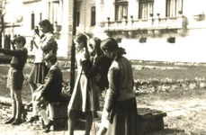 De la palat regal la palat al pionierilor (1949 1977) o filă din istoria Palatului Cotroceni jpeg
