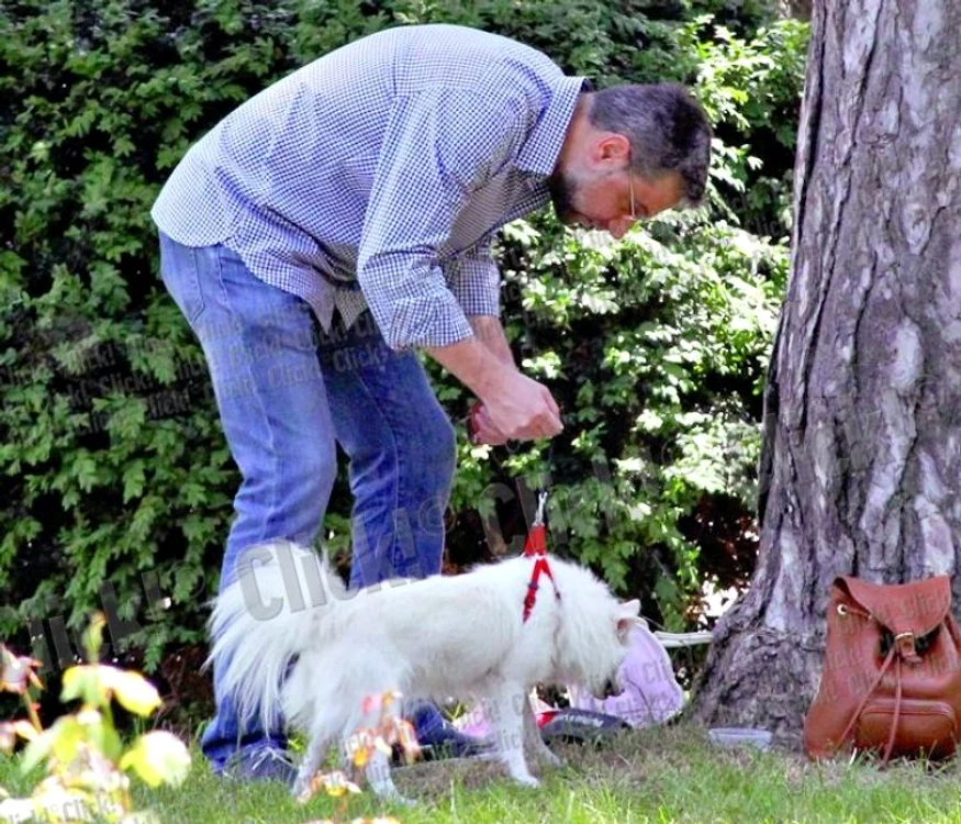 
    Şi holul, şi scările sunt pavate cu marmură şi granit  