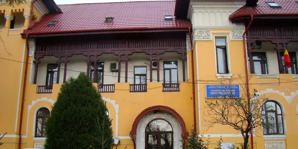 Colegiul Tehnologic Grigore Cerchez  FB jpg