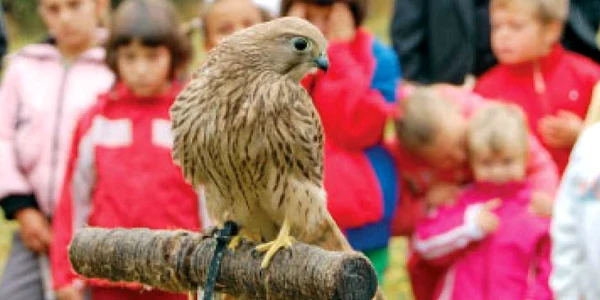 Judeţ cu judeţ :Primăria Sibiu a anunţat că va majora, de la 1 ianuarie 2010, taxele şi impozitele locale cu 20%