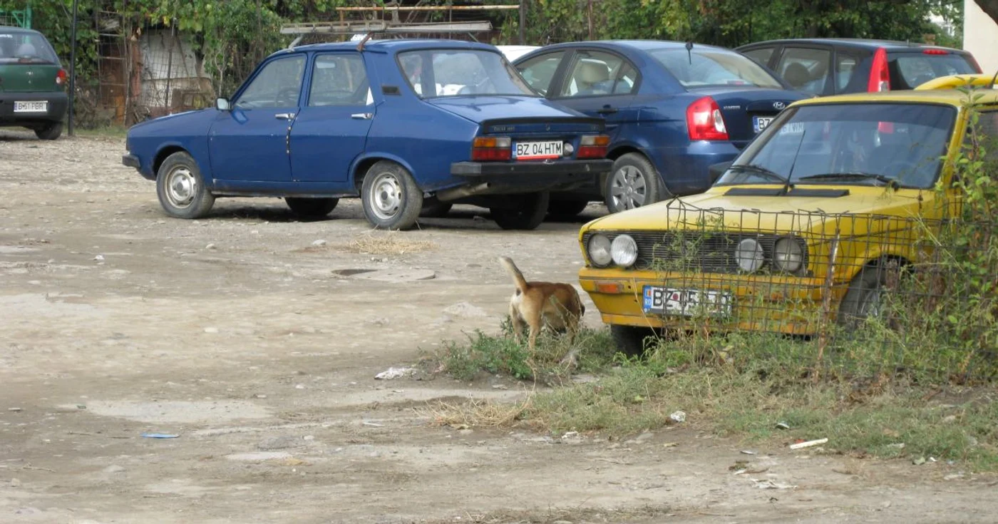 Parcul auto include o mulţime de vechituri