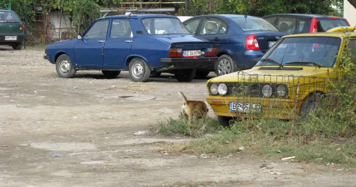 Parcul auto include o mulţime de vechituri
