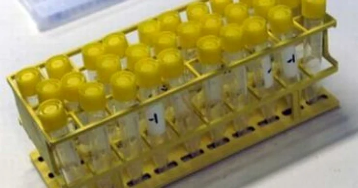 Studiu: Vaccinul împotriva gripei sezoniere este eficient şi împotriva gripei H1N1