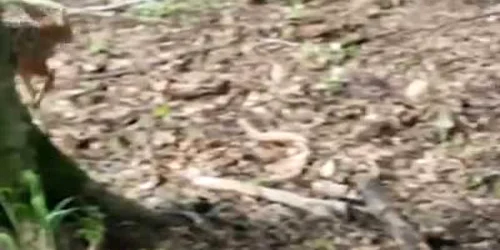 5ef5a1515163ec427154d110 jpg