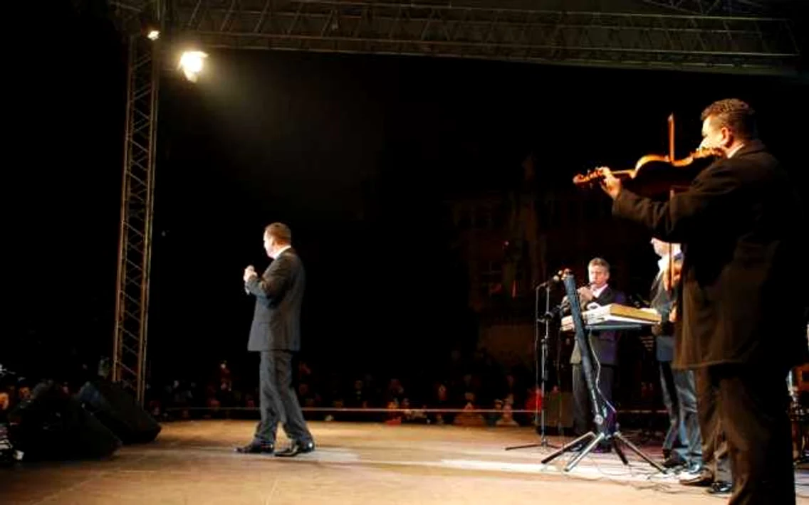 concerte baia mare