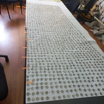 Monede romane găsite Foto: Facebook Ovidiu Andreca