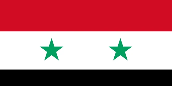 Steag Siria / foto news