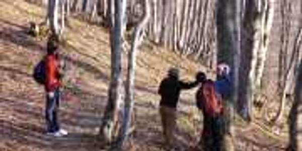 Turiştii au nevoie de trasee marcate