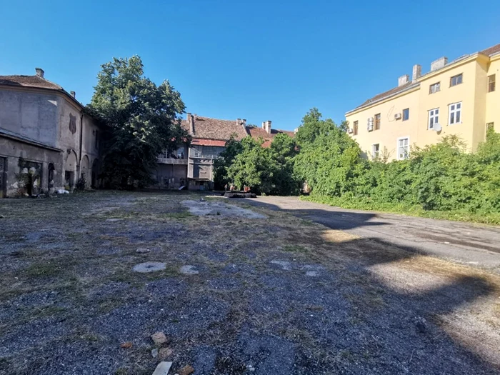 "Apocalipsa elefantului alb" în fosta Garnizoană a Timişoarei FOTO Ştefan Both