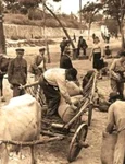 Refugiaţi din cauza foametei FOTO Arhiva Bibliotecii VA Urechia Galaţi jpeg