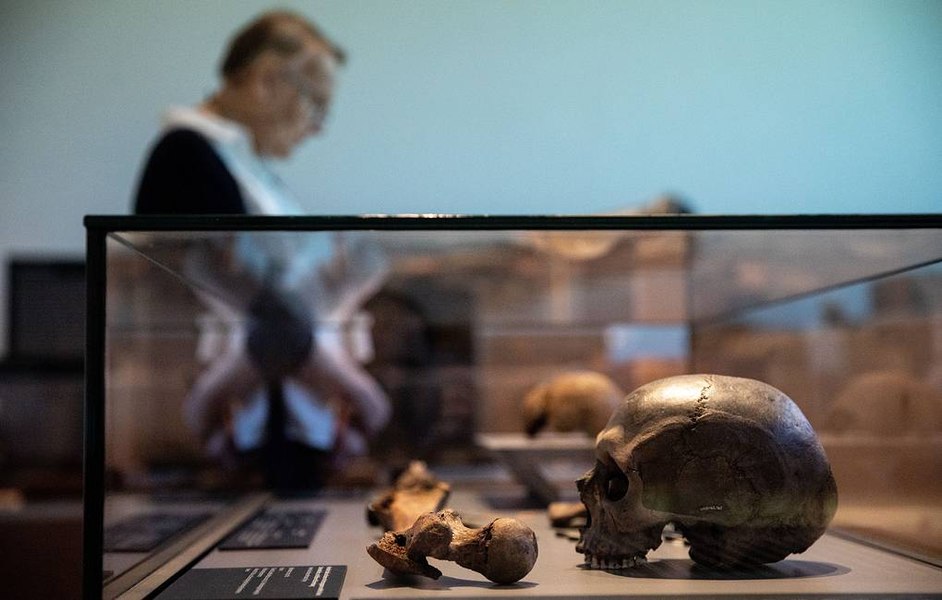 Istoria genetică a Balcanilor: Paleogeneticienii au dovedit că vechii goți erau o confederație de popoare