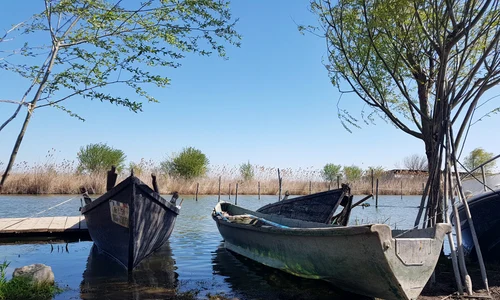 Delta dunarii barci FOTO Calin Gavrilas jpg