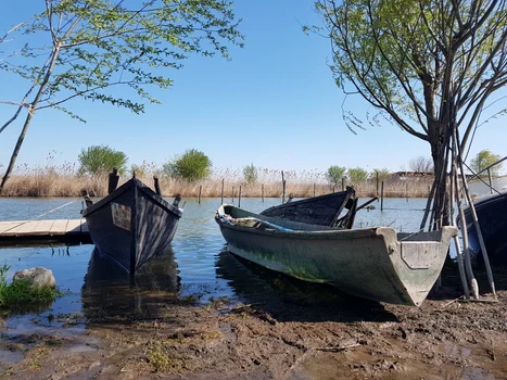 Delta Dunării este un loc idilic, care poate ascunde multe pericole FOTO Calin Gavrilas jpg