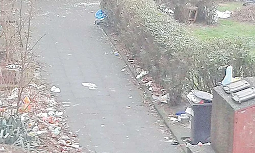 Autorităţile germane spun  că ridică munţi de gunoaie  din zonele în care trăiesc  imigranţii din România (Foto: bild) jpeg