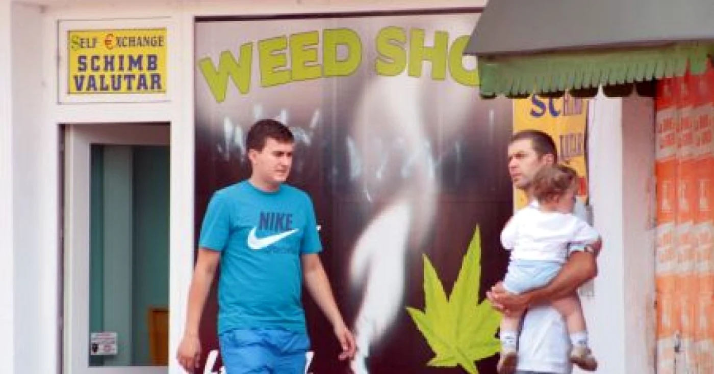 Deşi magazinele de droguri uşoare au fost închise, plantele etnobotanice continuă să circule