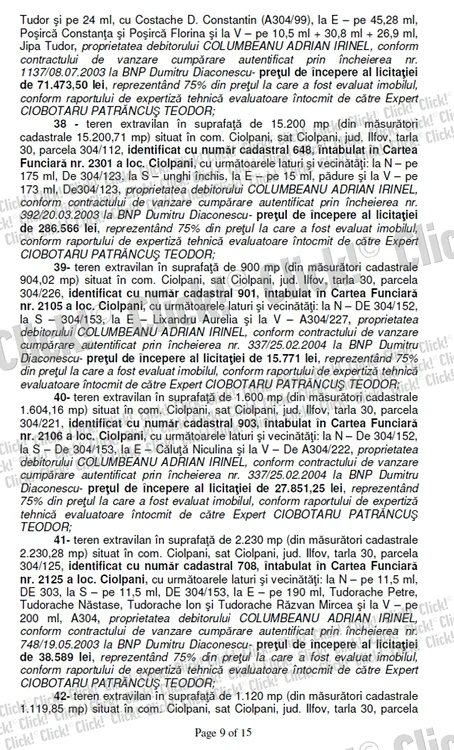 Anunţul de vânzare a terenurilor lui Irinel Columbeanu.