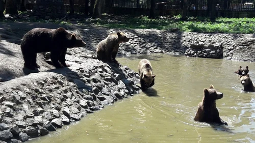 Grădina Zoologică din Timişoara FOTO Ş.Both