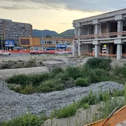 Gara Deva  Foto Daniel Guță ADEVĂRUL jpg