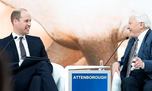 3 printul william pantof jpg jpeg