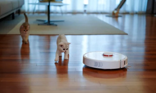 1 aspirator jpg jpeg