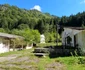 Brădățel, Retezat  Foto Daniel Guță  ADEVĂRUL (5) jpg