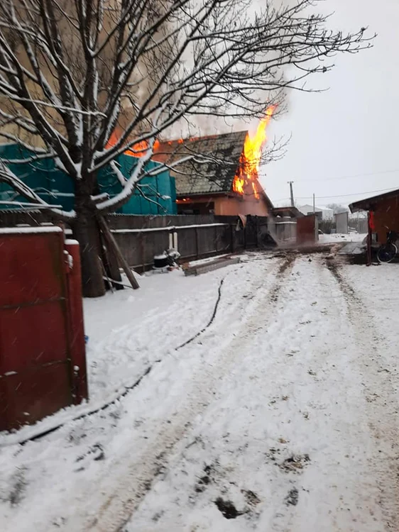 Foto: arhivă Adevărul