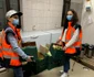 Legumele bio produse în Ciocănari ajung zilnic în Capitală. FOTO Ateliere fără frontiere