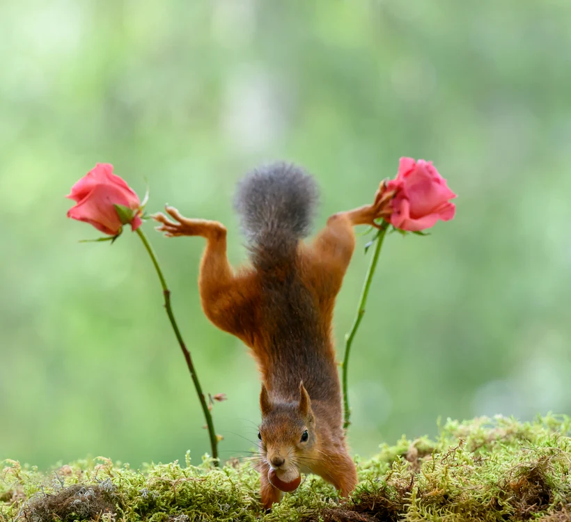 Aceasta poate  sta în mâini. FOTO: Profimedia/Geert Weggen