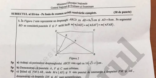 subiecte matematica capcaitate 2017 2