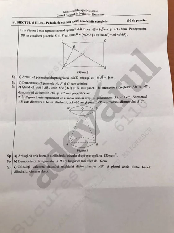 subiecte matematica capcaitate 2017 2