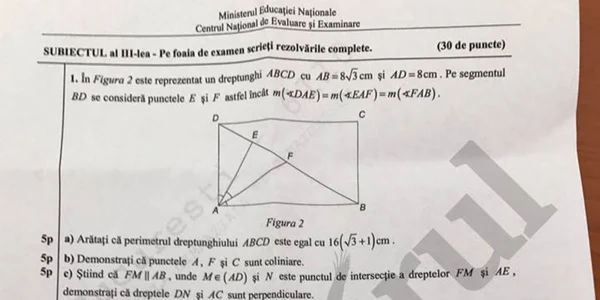 subiecte matematica capcaitate 2017 2