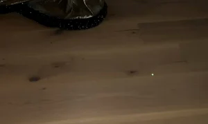 StorySaver net kimkardashian Video 1766661302981 mp4 thumbnail png