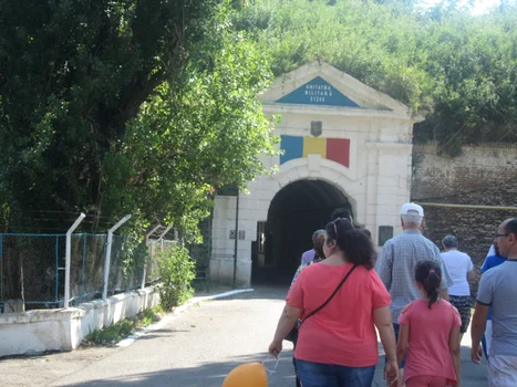 cetate arad