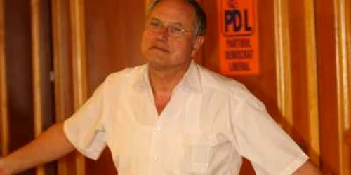 mircea toader