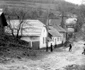 Lindenfeld 1978