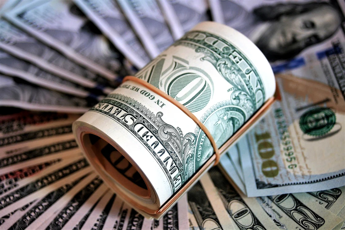 Bărbatul a îngropat 20.000 de dolari în propria curte