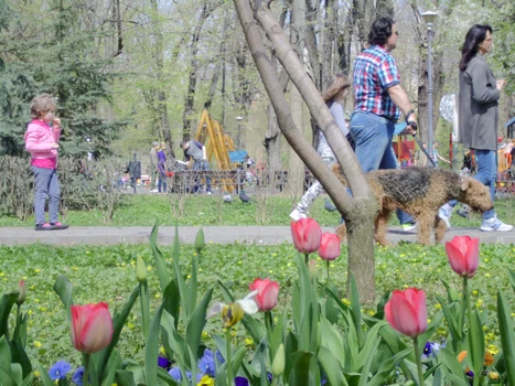 Bucureştenii au dat năvala în parcuri în primele zile de primăvară