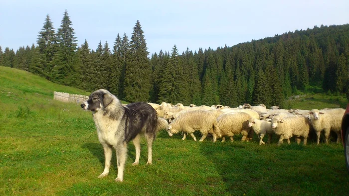 Tânărul se află în afara oricărui pericol foto: arhiva personală