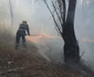 incendiu Lunca Prutului Galati 2