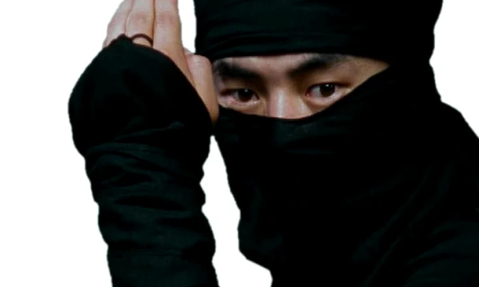 Ninja, de la sabotori la asasini jpeg