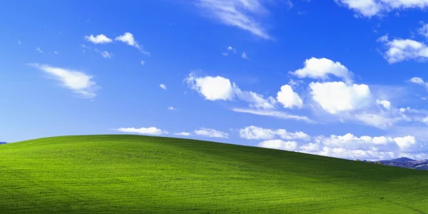 Fundal Windows XP jpg