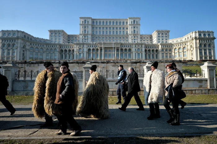Oierii au trimis o delegație la Camera Deputaților care să le reprezinte interesele (foto: Mediafax)
