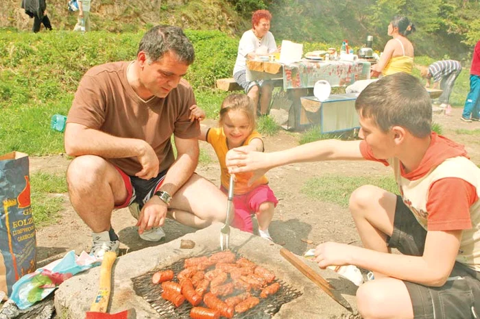Micii au o densitate calorică foarte mare
